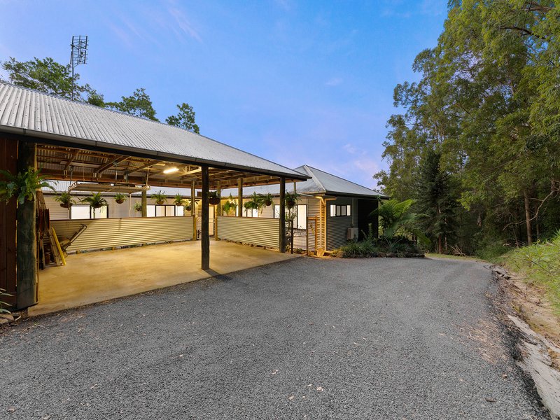 Photo - 275 Hunchy Road, Hunchy QLD 4555 - Image 4