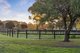 Photo - 275 Mornington-Tyabb Road, Moorooduc VIC 3933 - Image 1