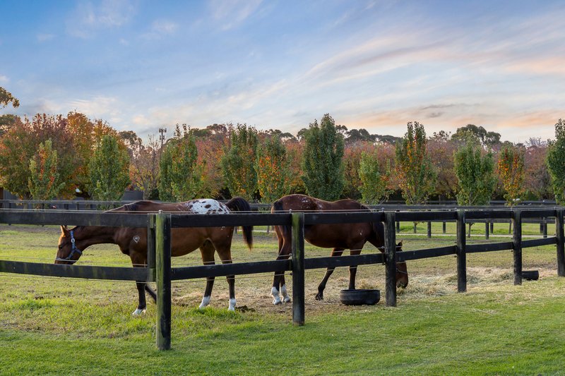 Photo - 275 Mornington-Tyabb Road, Moorooduc VIC 3933 - Image 9