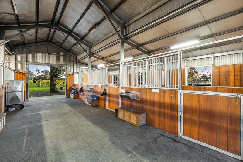 Photo - 275 Mornington-Tyabb Road, Moorooduc VIC 3933 - Image 10
