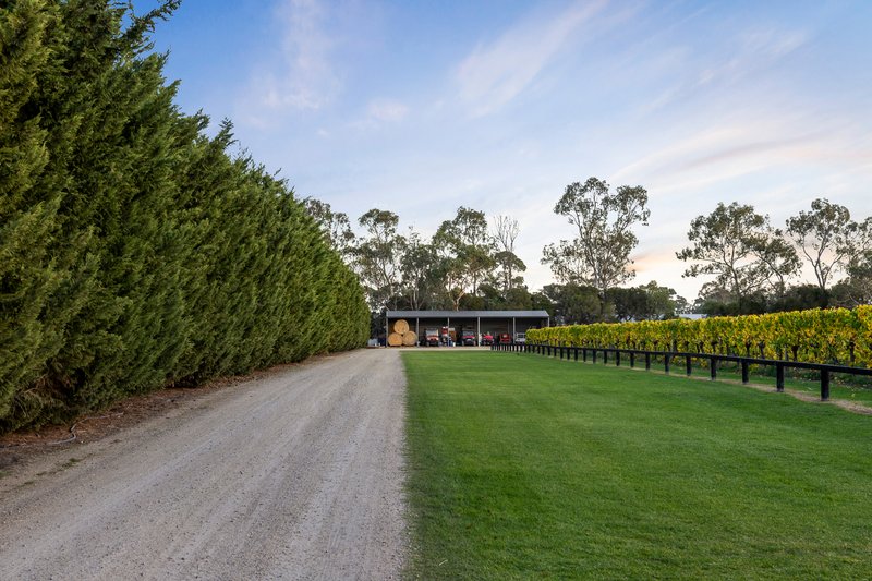 Photo - 275 Mornington-Tyabb Road, Moorooduc VIC 3933 - Image 12