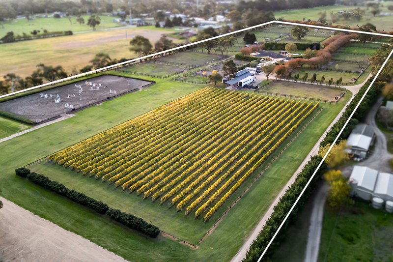 Photo - 275 Mornington-Tyabb Road, Moorooduc VIC 3933 - Image 15
