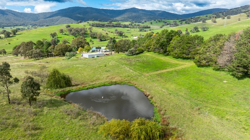 Photo - 276 Egan Lane, Sandy Creek VIC 3695 - Image 6