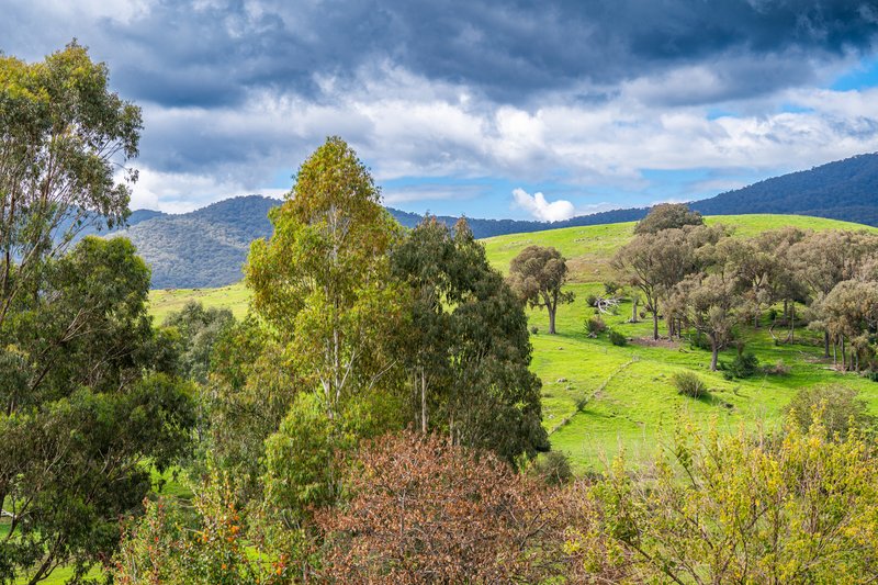 Photo - 276 Egan Lane, Sandy Creek VIC 3695 - Image 15