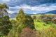 Photo - 276 Egan Lane, Sandy Creek VIC 3695 - Image 15