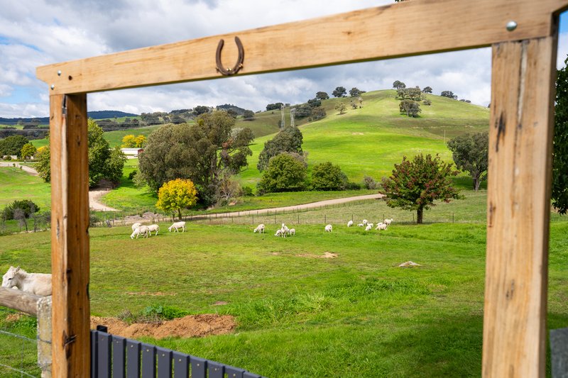 Photo - 276 Egan Lane, Sandy Creek VIC 3695 - Image 18
