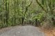 Photo - 2768 Springbrook Road, Springbrook QLD 4213 - Image 1