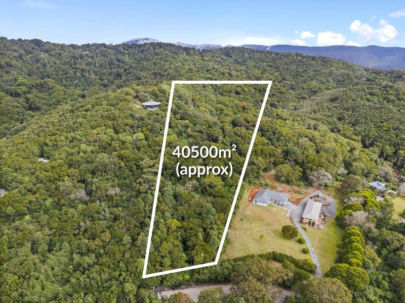 Photo - 2768 Springbrook Road, Springbrook QLD 4213 - Image 2