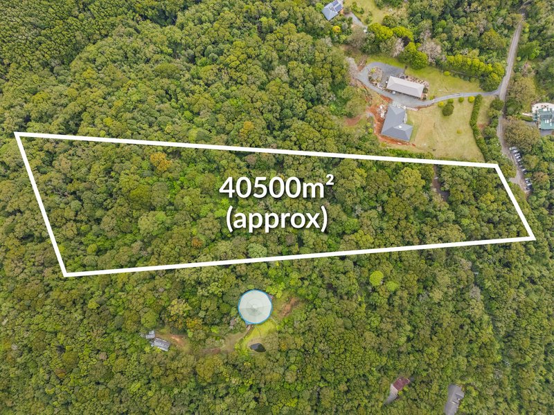 Photo - 2768 Springbrook Road, Springbrook QLD 4213 - Image 3