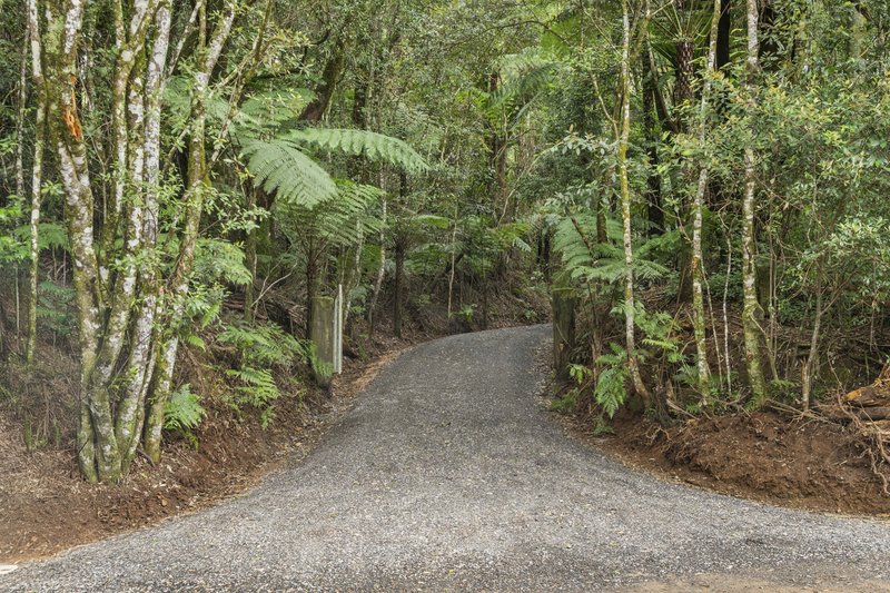 Photo - 2768 Springbrook Road, Springbrook QLD 4213 - Image 4