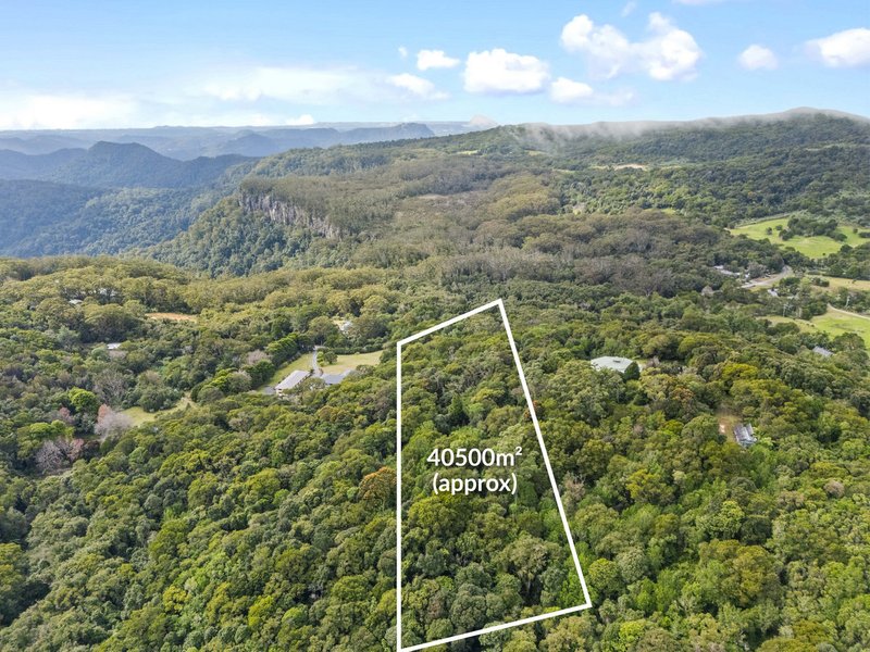 Photo - 2768 Springbrook Road, Springbrook QLD 4213 - Image 6
