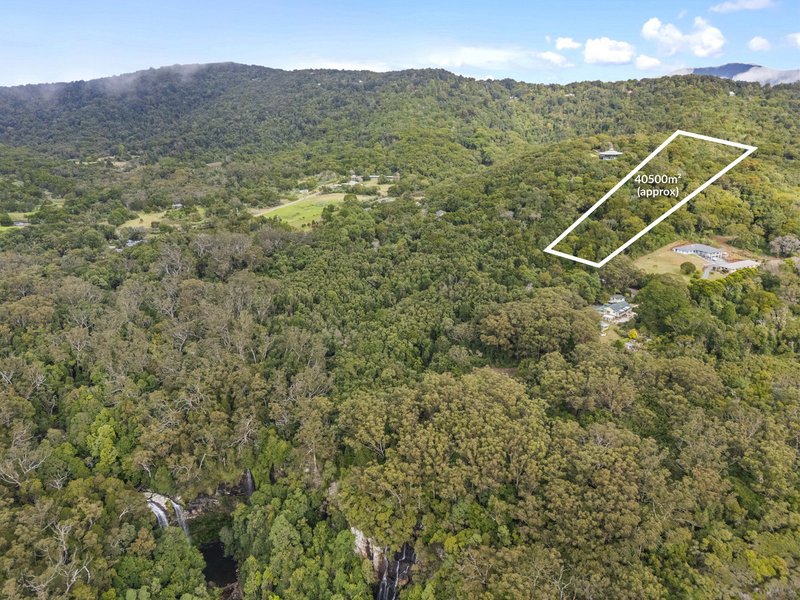Photo - 2768 Springbrook Road, Springbrook QLD 4213 - Image 7