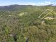 Photo - 2768 Springbrook Road, Springbrook QLD 4213 - Image 7