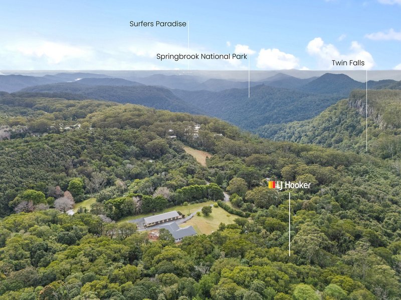 Photo - 2768 Springbrook Road, Springbrook QLD 4213 - Image 8