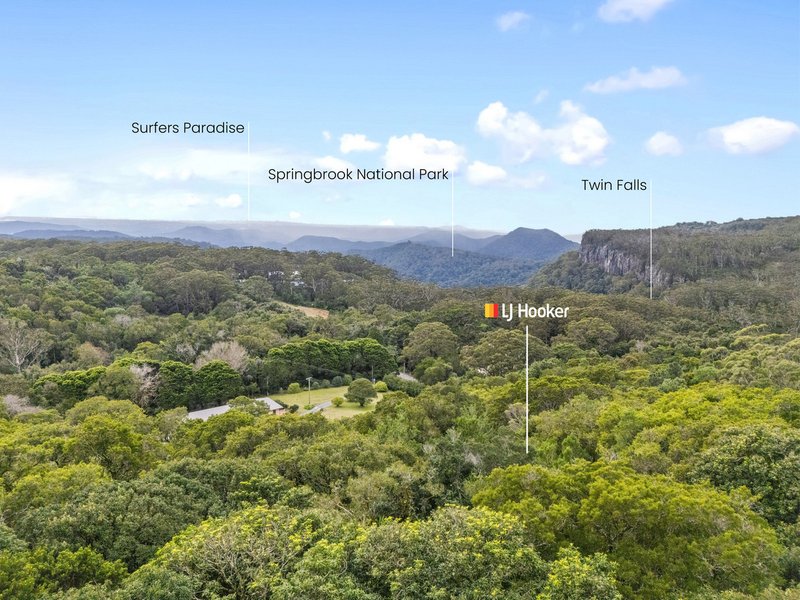 Photo - 2768 Springbrook Road, Springbrook QLD 4213 - Image 9
