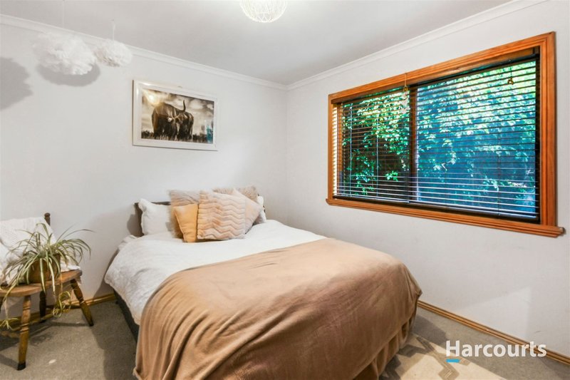 Photo - 277 Ansons Bay Road, St Helens TAS 7216 - Image 13