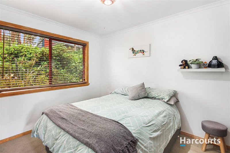 Photo - 277 Ansons Bay Road, St Helens TAS 7216 - Image 14