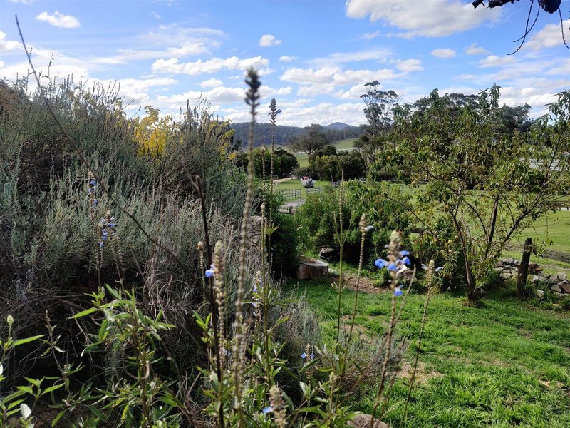 Photo - 277 Ansons Bay Road, St Helens TAS 7216 - Image 20