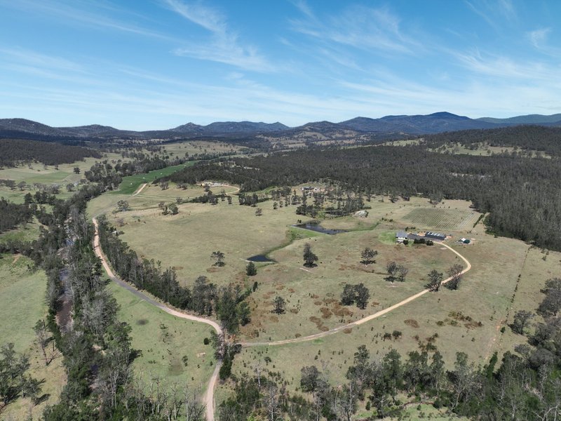 Photo - 277 Bourkes Road, Cobargo NSW 2550 - Image 25