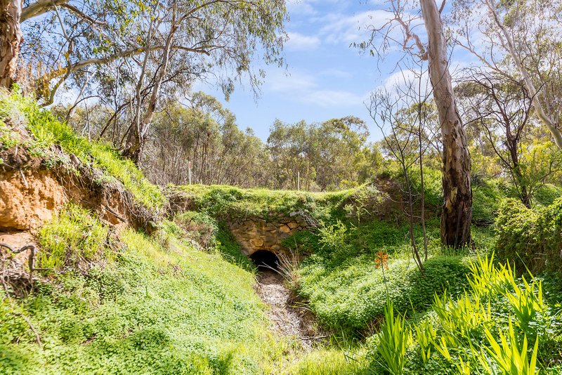 Photo - 277 Goldfields Road, Cockatoo Valley SA 5351 - Image 24