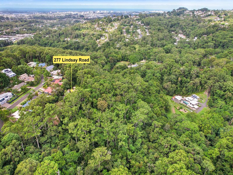 Photo - 277 Lindsay Road, Buderim QLD 4556 - Image 3