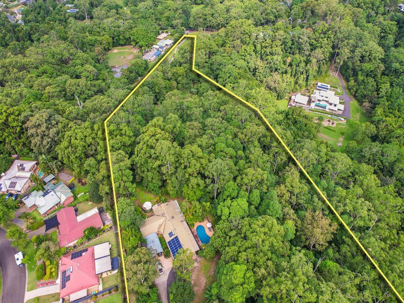 Photo - 277 Lindsay Road, Buderim QLD 4556 - Image 16