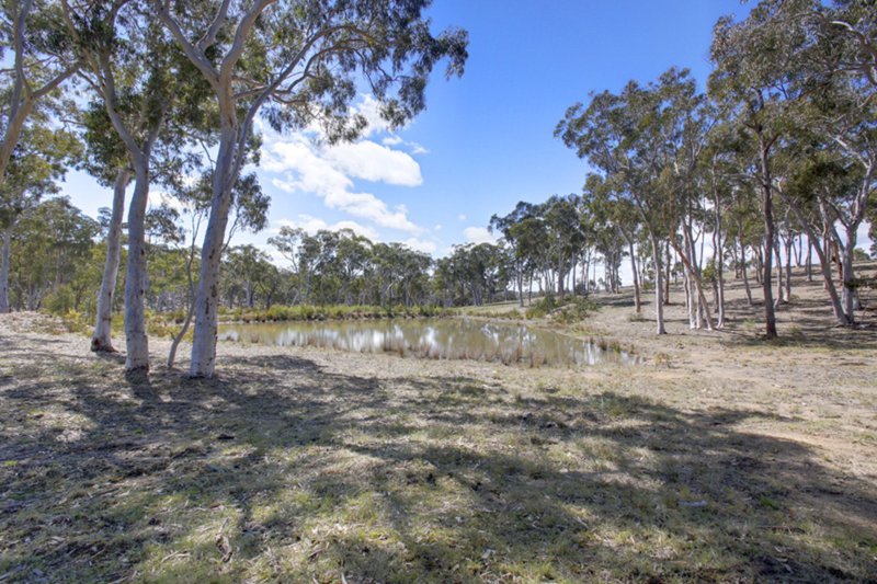 Photo - 278 & 296 Red Hills Road, Marulan NSW 2579 - Image 10