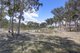 Photo - 278 & 296 Red Hills Road, Marulan NSW 2579 - Image 10