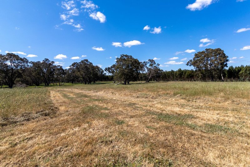 Photo - 278 Wilgarrup Road, Yornup WA 6256 - Image 21