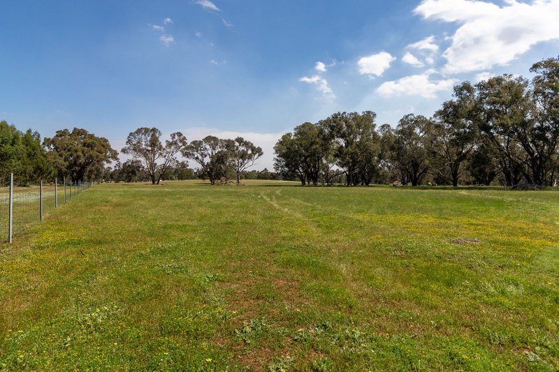 Photo - 278 Wilgarrup Road, Yornup WA 6256 - Image 25