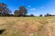 Photo - 278 Wilgarrup Road, Yornup WA 6256 - Image 27