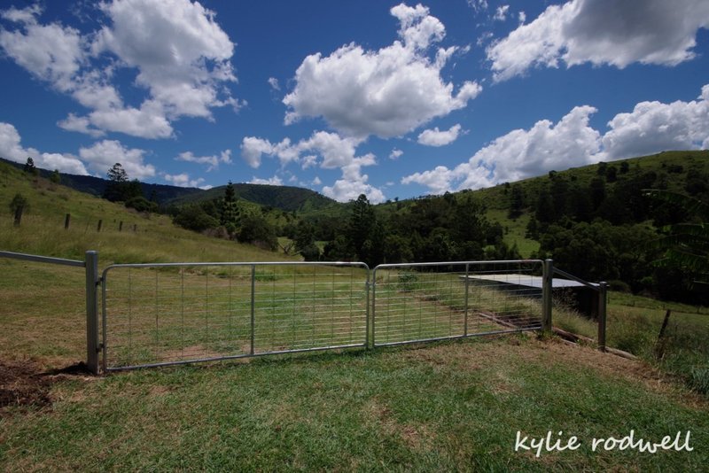 Photo - 279 Camp Creek Rd , Running Creek QLD 4287 - Image 17