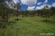 Photo - 279 Camp Creek Rd , Running Creek QLD 4287 - Image 20