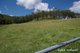 Photo - 279 Camp Creek Rd , Running Creek QLD 4287 - Image 22