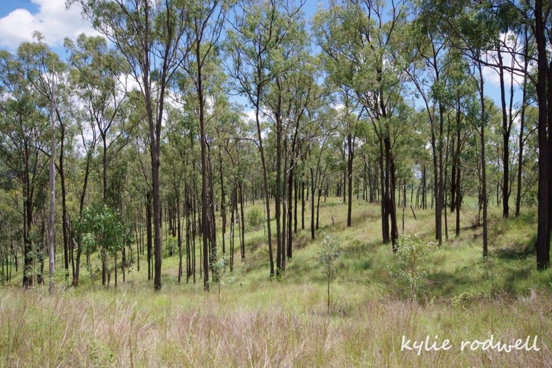 Photo - 279 Camp Creek Rd , Running Creek QLD 4287 - Image 24