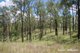 Photo - 279 Camp Creek Rd , Running Creek QLD 4287 - Image 24