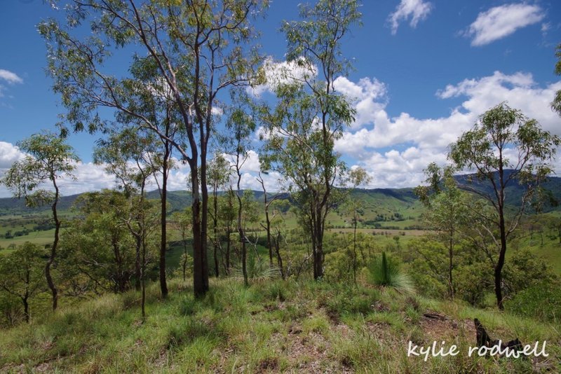 Photo - 279 Camp Creek Rd , Running Creek QLD 4287 - Image 25