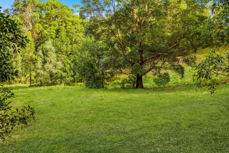 Photo - 279 Lawnville Road, Black Mountain QLD 4563 - Image 24