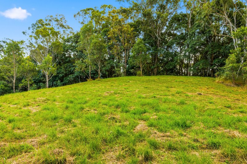Photo - 279 Lawnville Road, Black Mountain QLD 4563 - Image 28