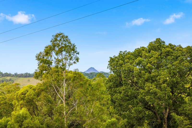 Photo - 279 Lawnville Road, Black Mountain QLD 4563 - Image 29