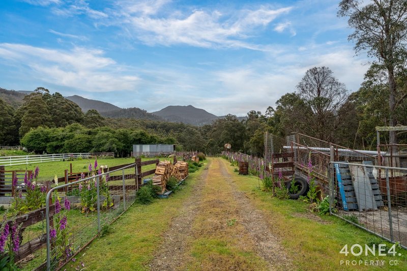 Photo - 279 Mount Hull Road, Collinsvale TAS 7012 - Image 27