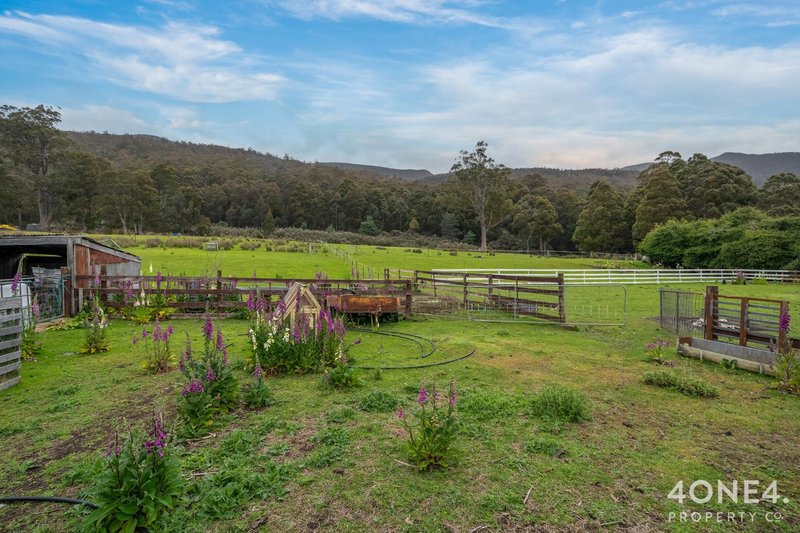 Photo - 279 Mount Hull Road, Collinsvale TAS 7012 - Image 28