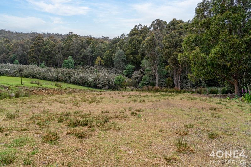 Photo - 279 Mount Hull Road, Collinsvale TAS 7012 - Image 29