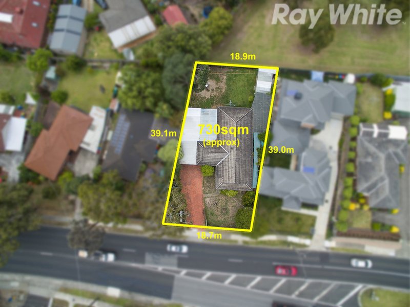 Photo - 279 Wantirna Road, Wantirna VIC 3152 - Image 5