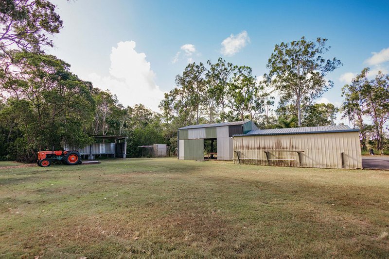 Photo - 2799 Rosedale Road, Yandaran QLD 4673 - Image 11