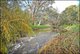 Photo - 27a Wilson Avenue, Felixstow SA 5070 - Image 5