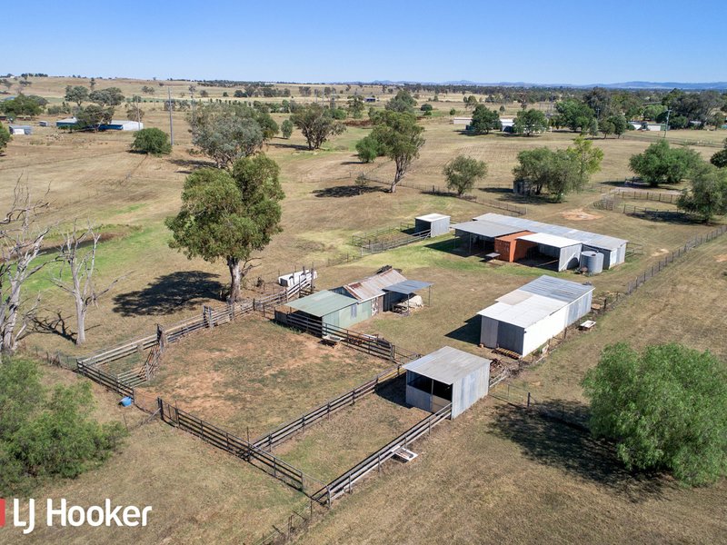 Photo - 28-42 Bylong Road, Hillvue NSW 2340 - Image 10