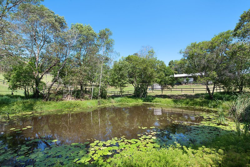 Photo - 28-44 Glenmount Road, Mons QLD 4556 - Image 12