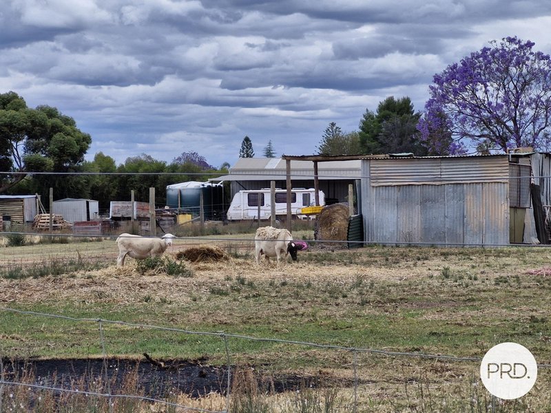 Photo - 28 & 56 Norman Road, Merbein West VIC 3505 - Image 5