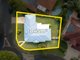 Photo - 28 Azalea Crescent, Calamvale QLD 4116 - Image 20